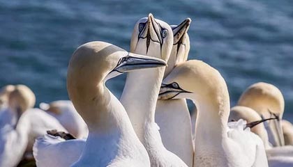 半岛体育：引领全民运动新时代